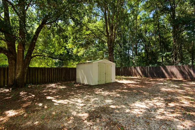 a view of a yard with a tree