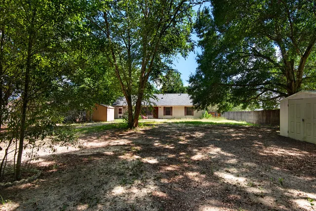 a view of a yard with large trees