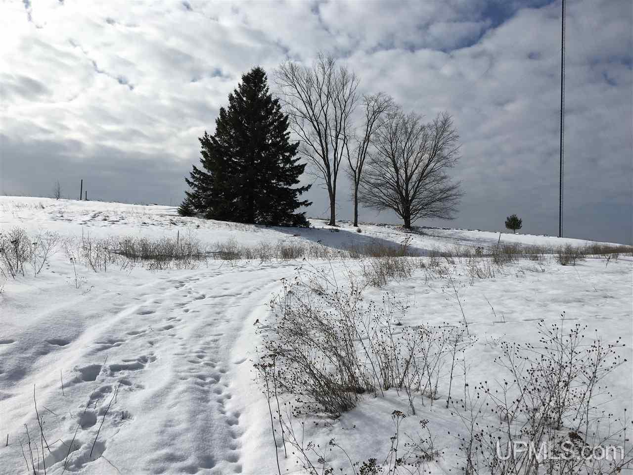 Tbd Ismay Road Crystal Falls, MI 49920 - Photo 4 of 4