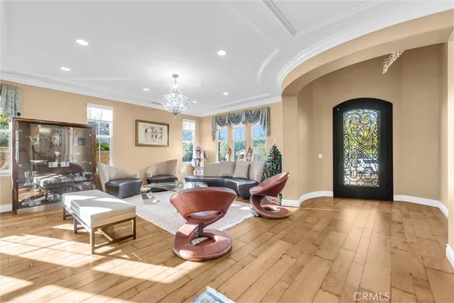 a living room with furniture a rug and a potted plant
