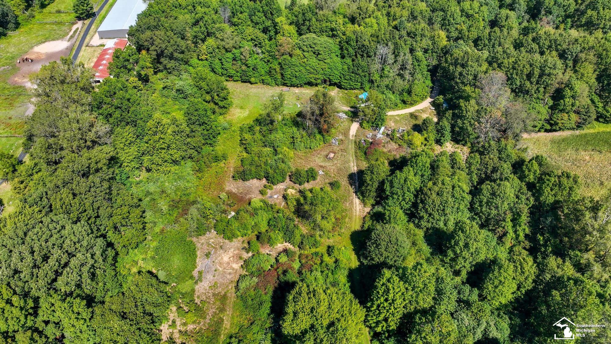 2637 Rauch Road Temperance, MI 48182 - Photo 8 of 60
