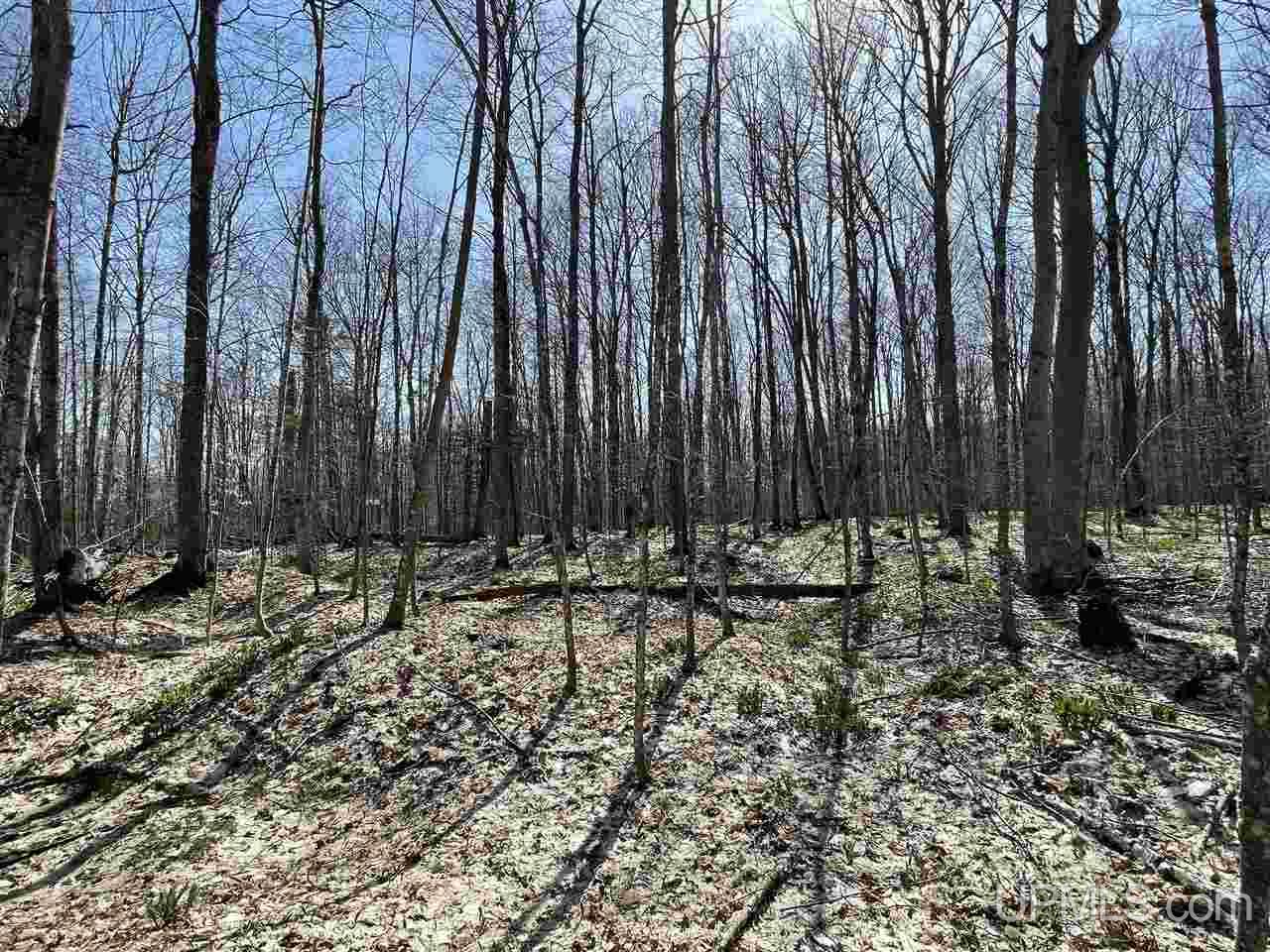 Tbd Mcgahn Road Germfask, MI 49836 - Photo 12 of 47 Gallery Image 12