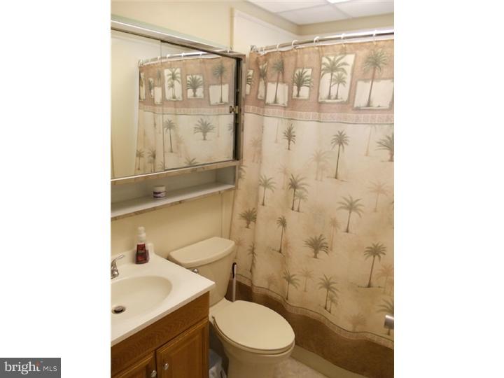 47 Cinnamon Road Levittown, PA 19057 - Photo 10 of 18 Bathroom