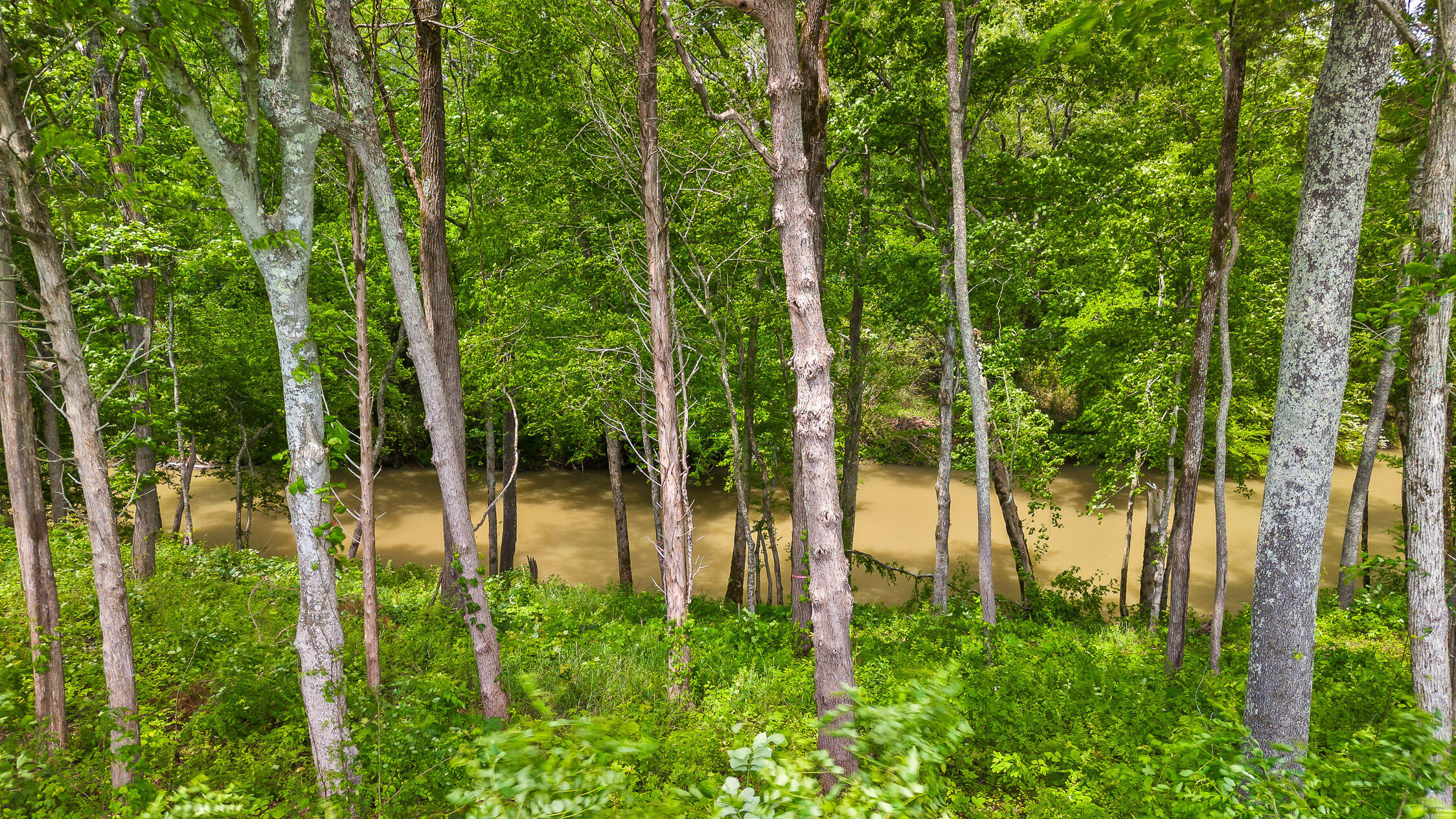 Lot 35 River Ridge Drive Dunlap, TN 37327 - Photo 23 of 35 View to Creek