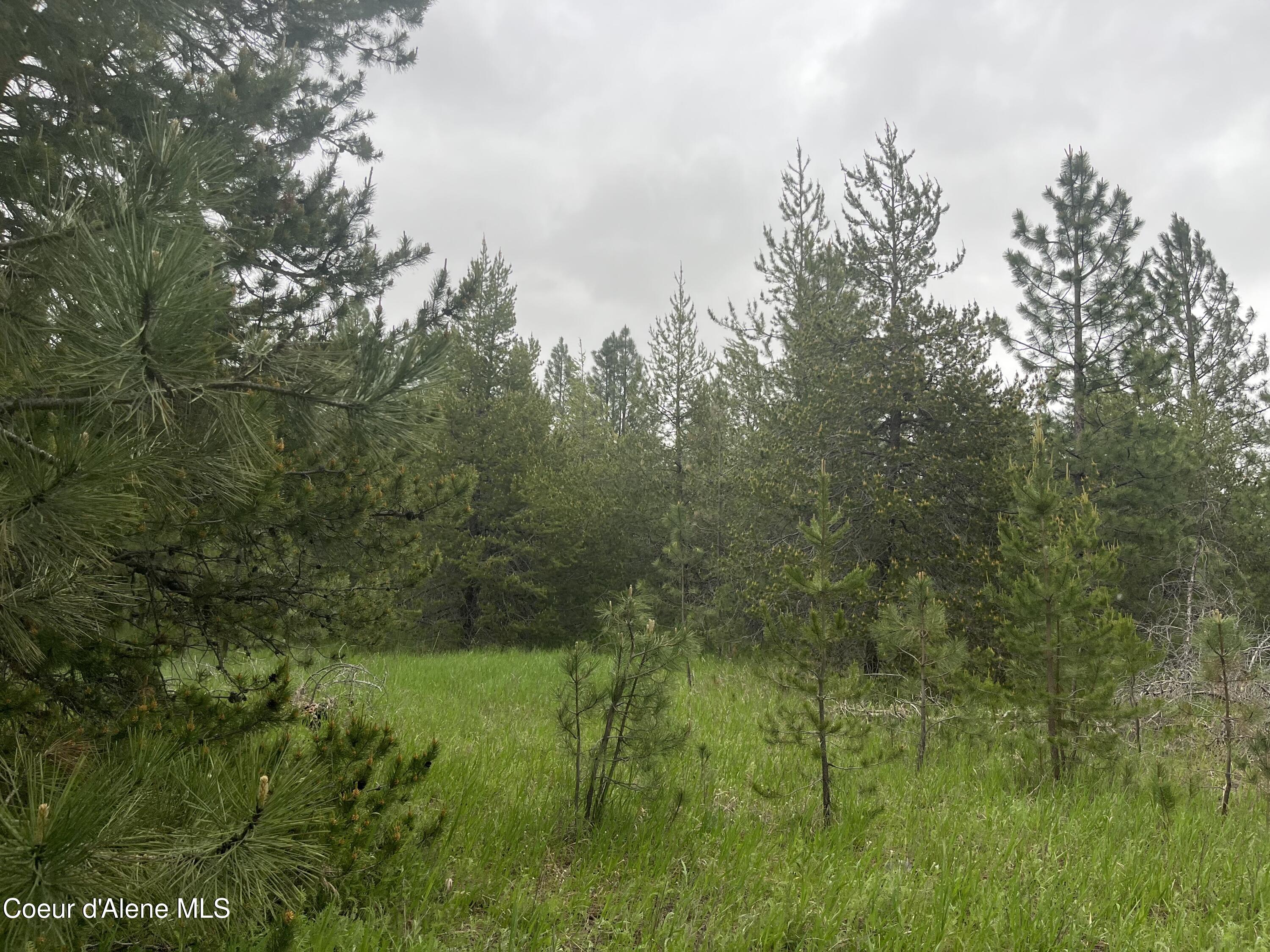 Nna North Sheep Springs Road Athol, ID 83801 - Photo 17 of 19 IMG_5804