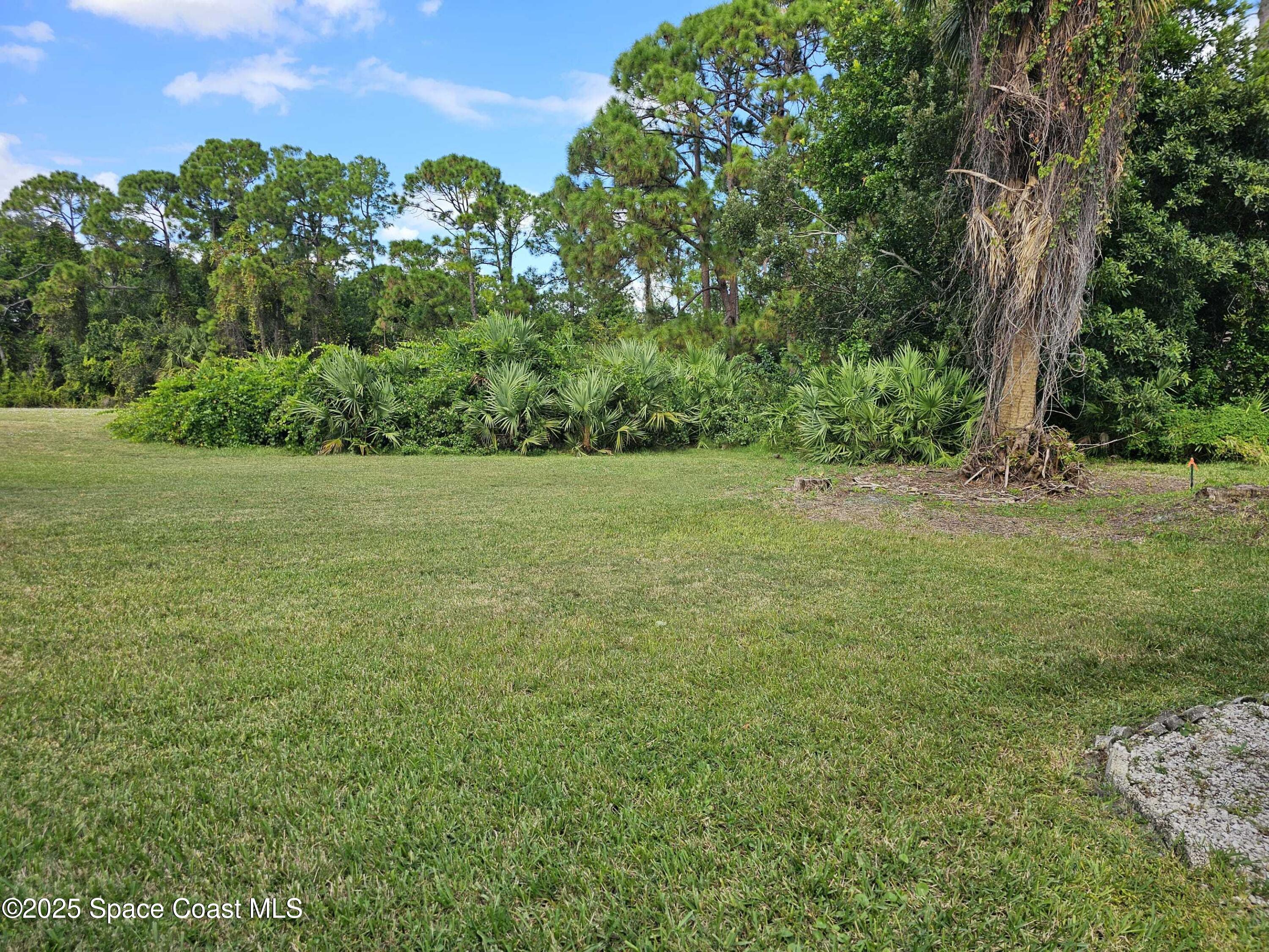 391 Cypress Point Drive Melbourne, FL 32940 - Photo 27 of 28 a view of a field with a tree