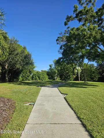 a view of a park with plants and trees