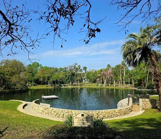 a view of a park with large trees