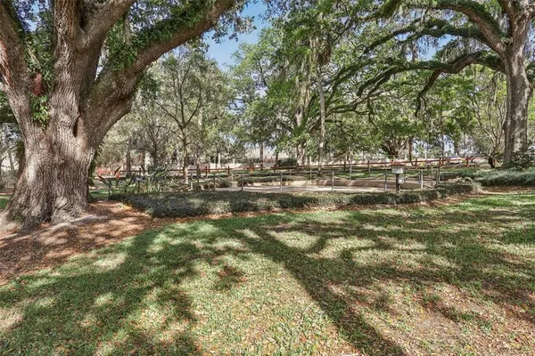a view of a yard with plants