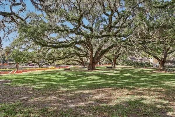 a view of outdoor space and trees