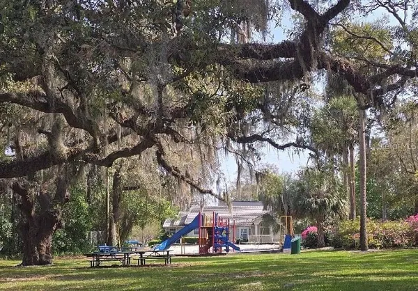 a view of a yard with a tree