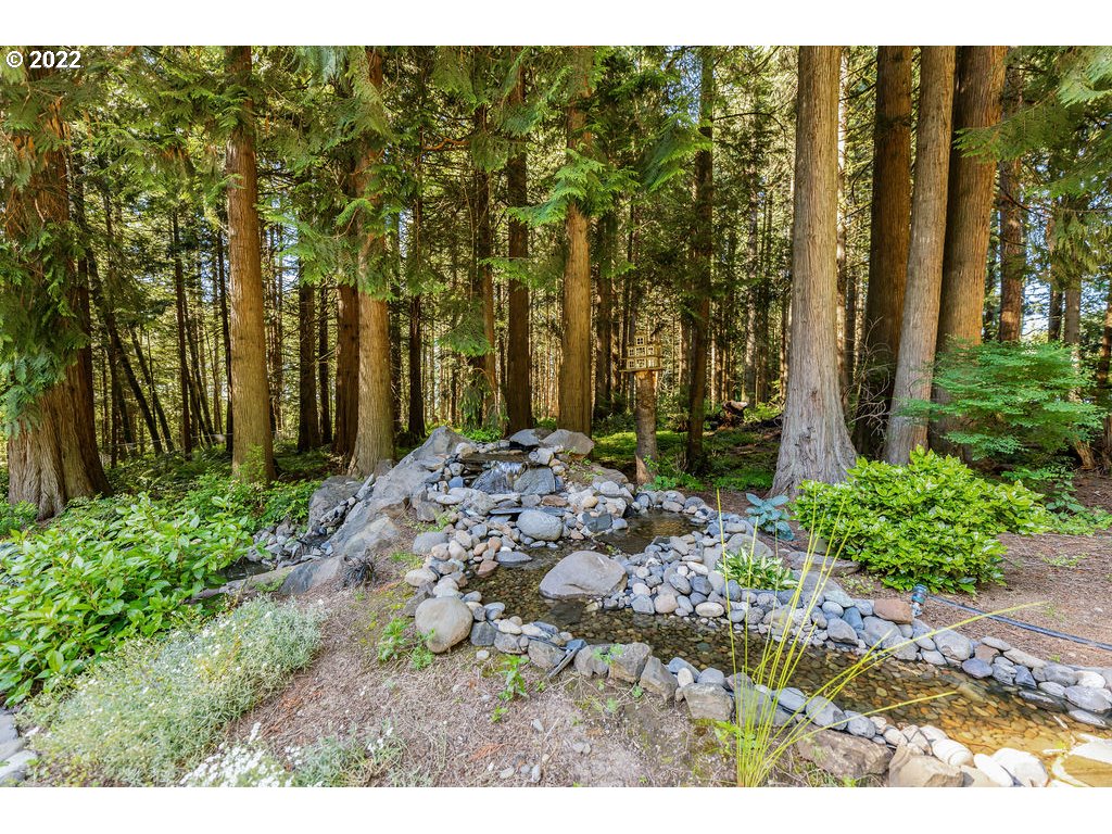 42069 Southeast Erickson Road Sandy, OR 97055 - Photo 27 of 32 a view of a backyard