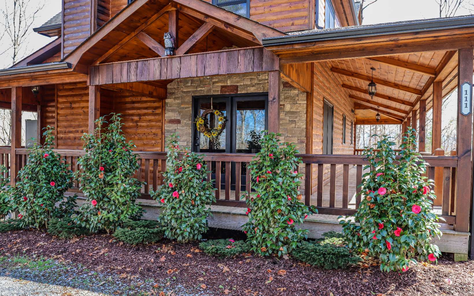 111 Chestnut Valley Blue Ridge, GA 30513 - Photo 2 of 4 Additional View