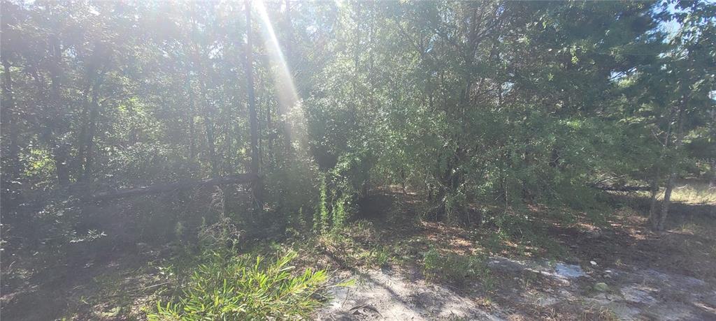 Union Way Lee, FL 32059 - Photo 9 of 15