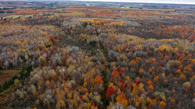 $415,000 | W12103 Highland Road, Antigo, WI 54409