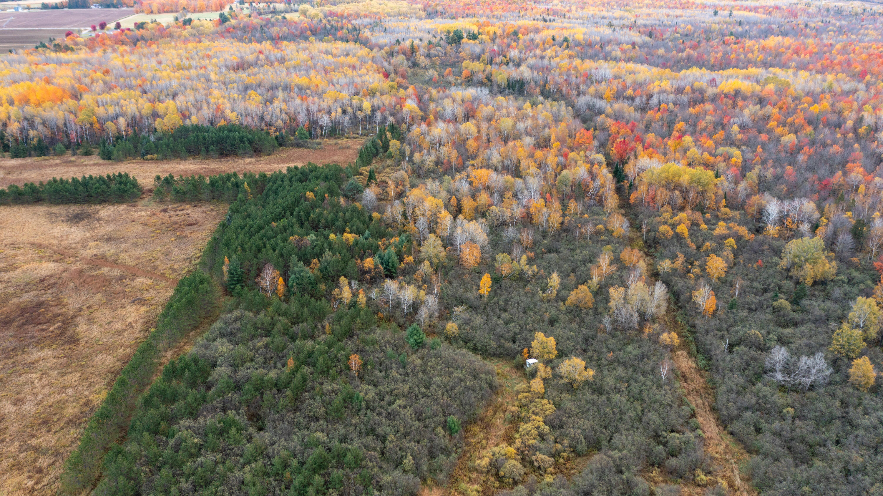 W12103 Highland Road Antigo, WI 54409 - Photo 24 of 89 DJI_0357