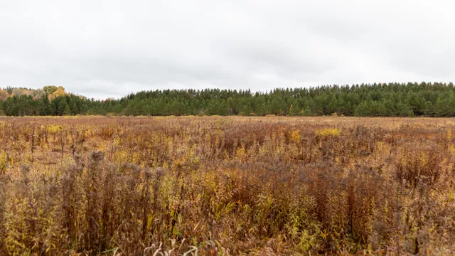 $415,000 | W12103 Highland Road, Antigo, WI 54409