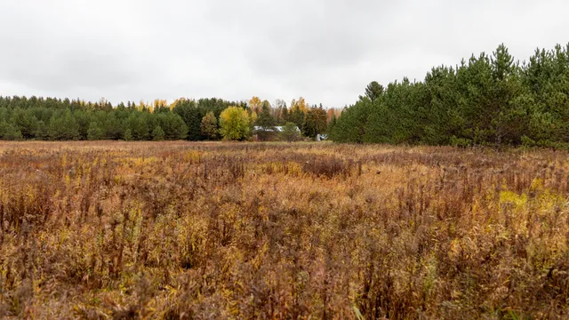 $415,000 | W12103 Highland Road, Antigo, WI 54409