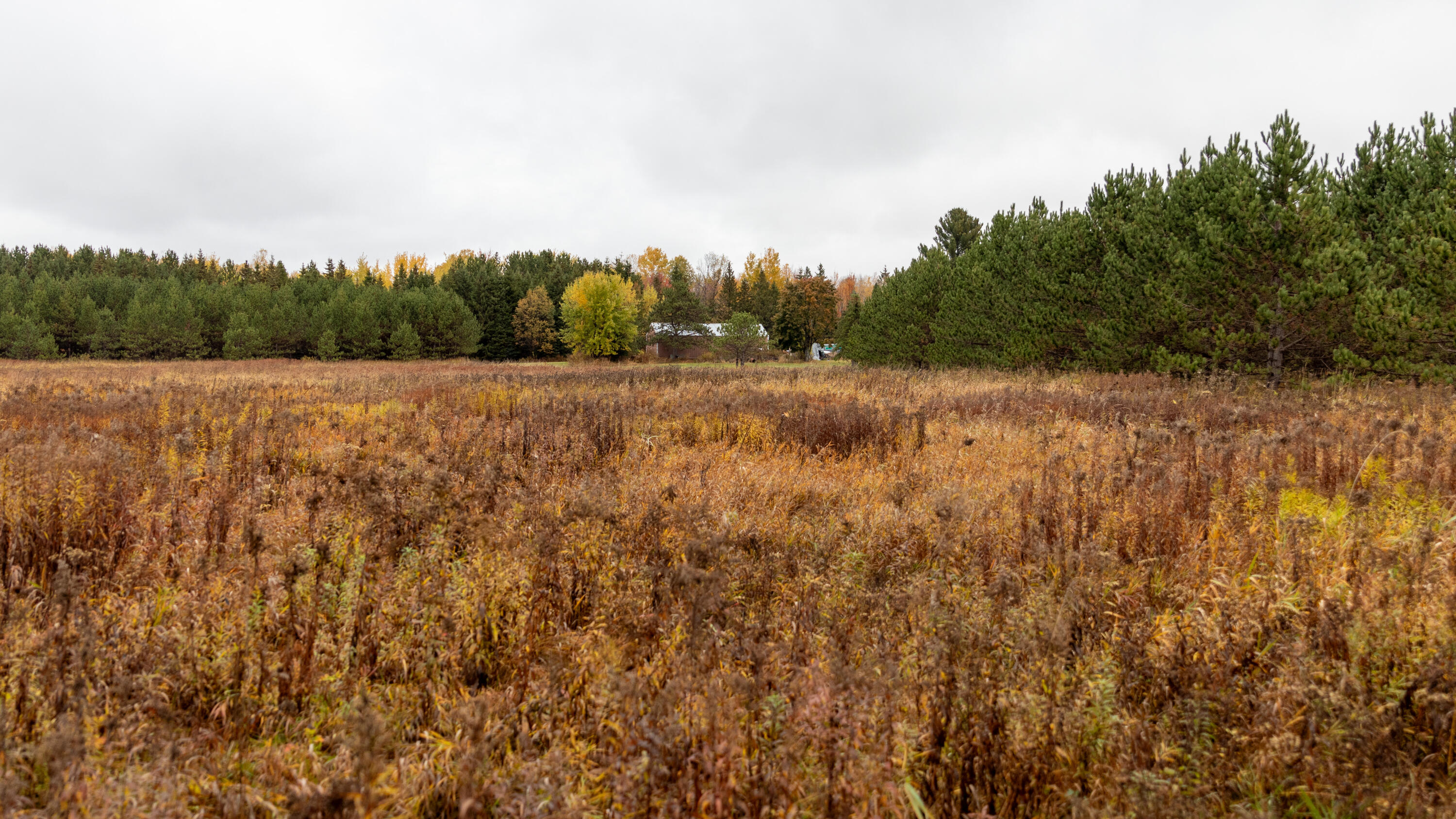 W12103 Highland Road Antigo, WI 54409 - Photo 38 of 89 IMG_3235