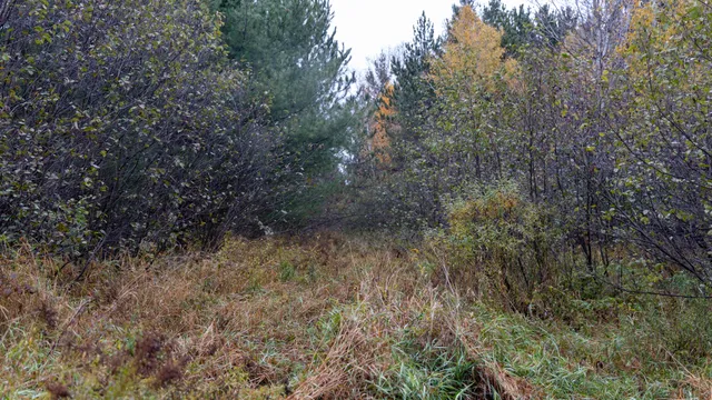 $415,000 | W12103 Highland Road, Antigo, WI 54409