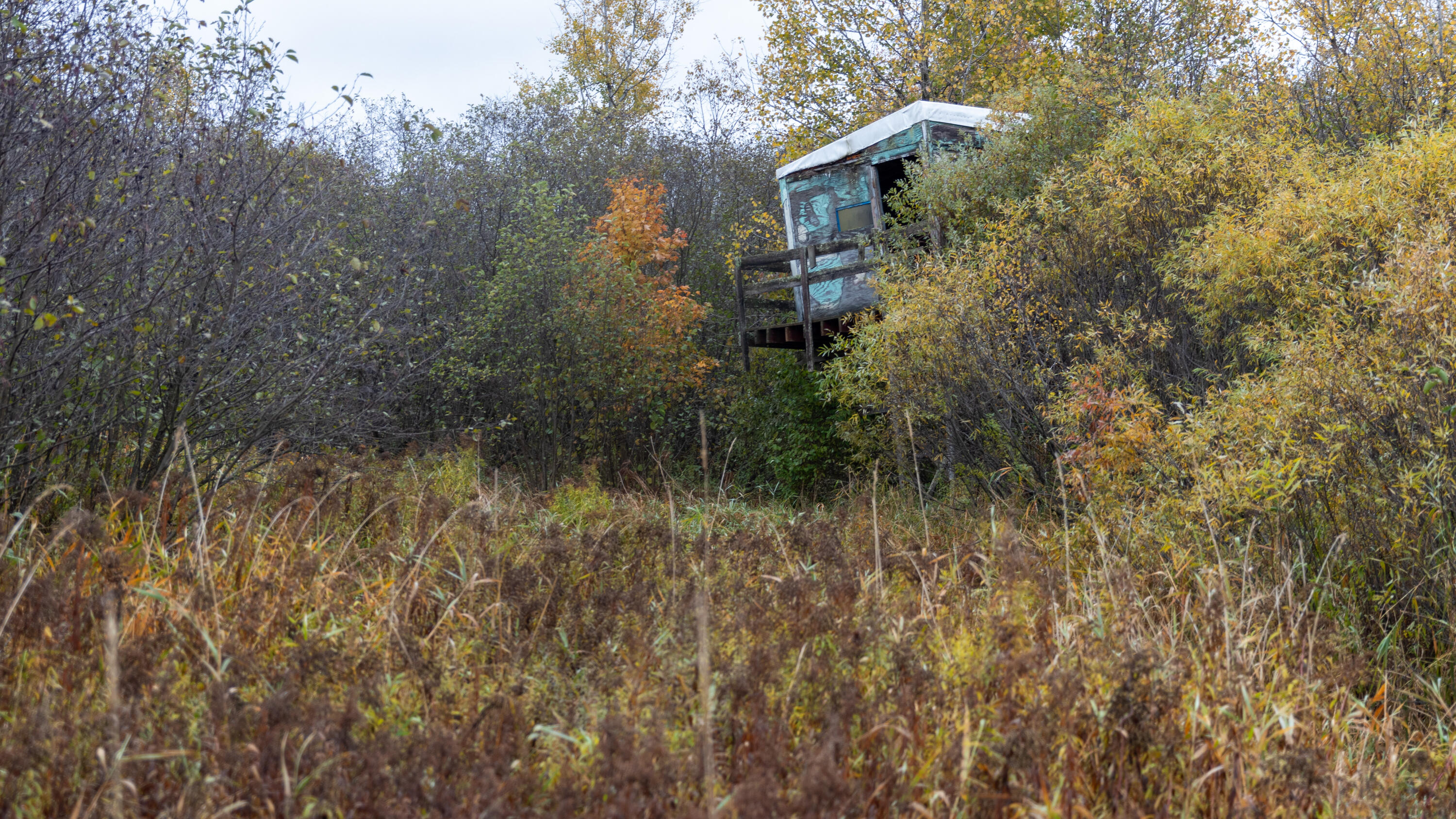 W12103 Highland Road Antigo, WI 54409 - Photo 40 of 89 IMG_3239