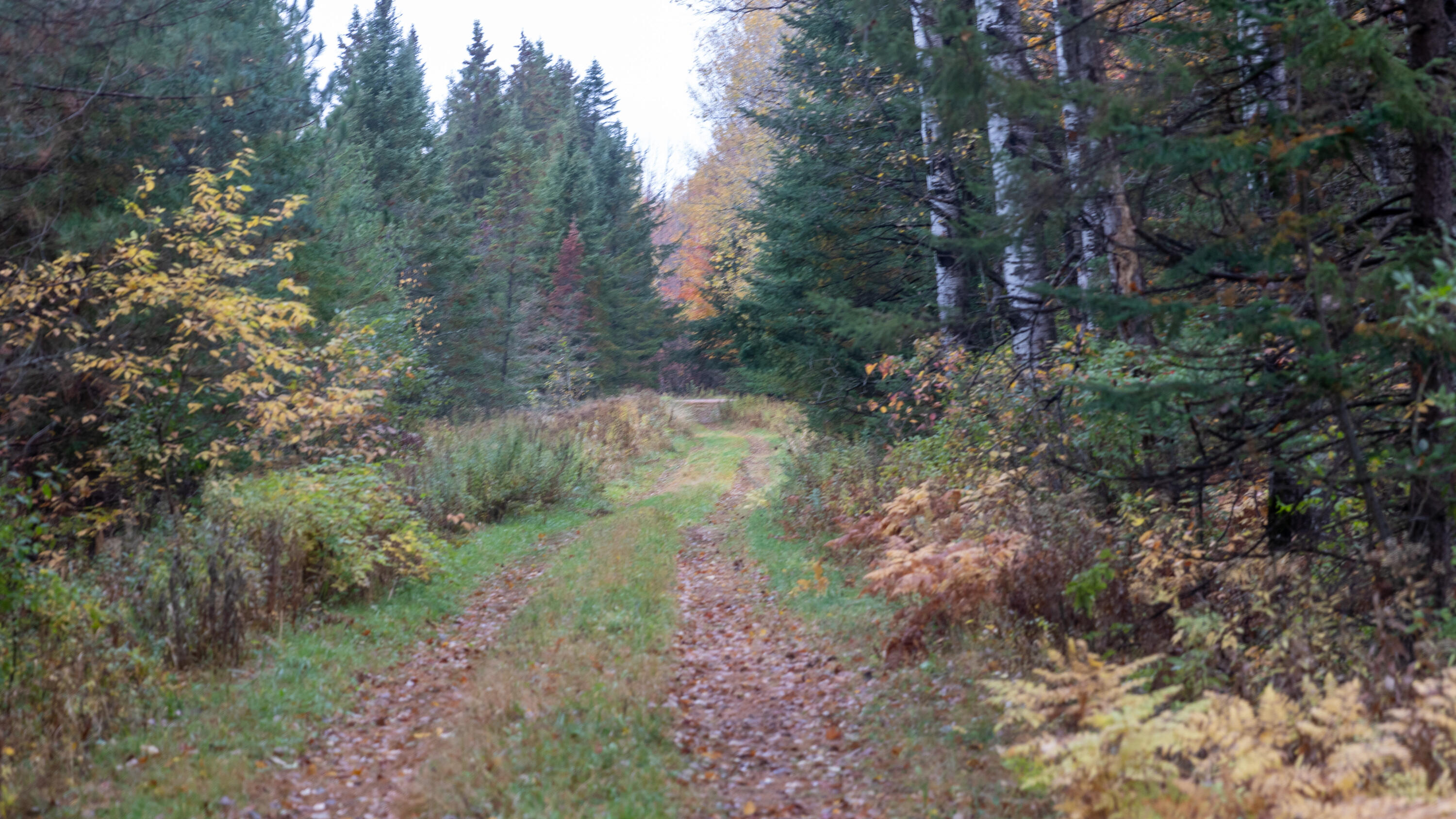 W12103 Highland Road Antigo, WI 54409 - Photo 43 of 89 IMG_3247