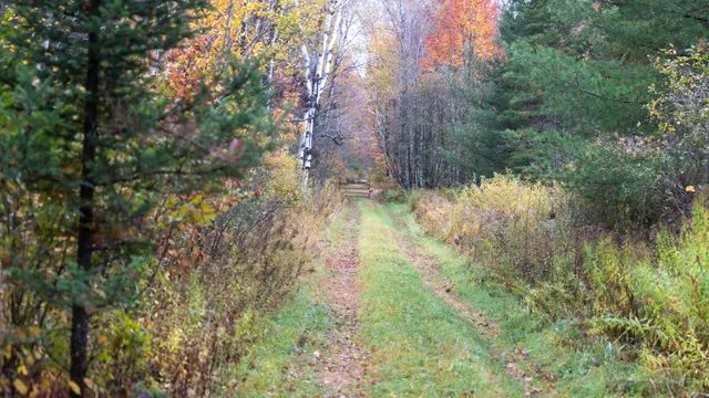 $415,000 | W12103 Highland Road, Antigo, WI 54409