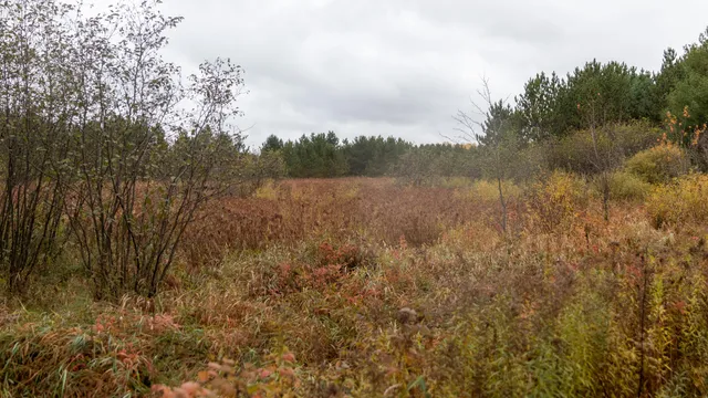 $415,000 | W12103 Highland Road, Antigo, WI 54409