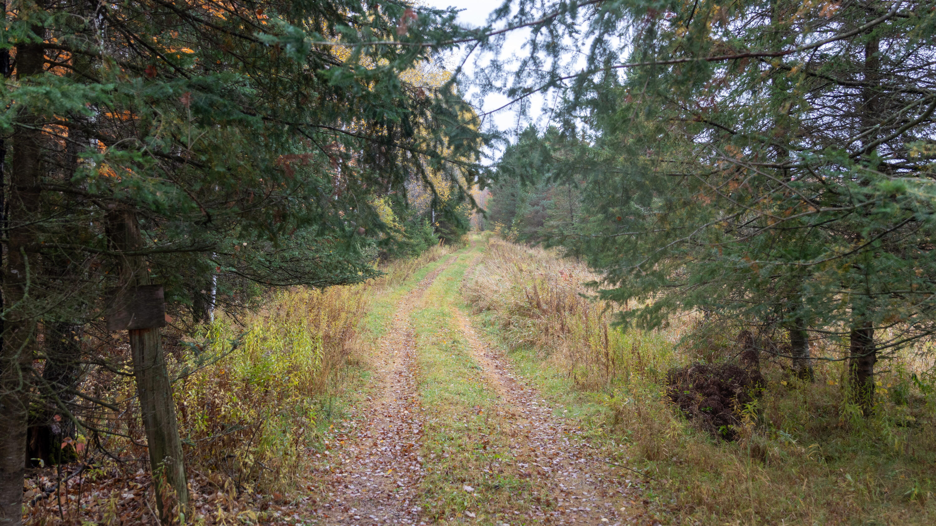 W12103 Highland Road Antigo, WI 54409 - Photo 46 of 89 IMG_3251