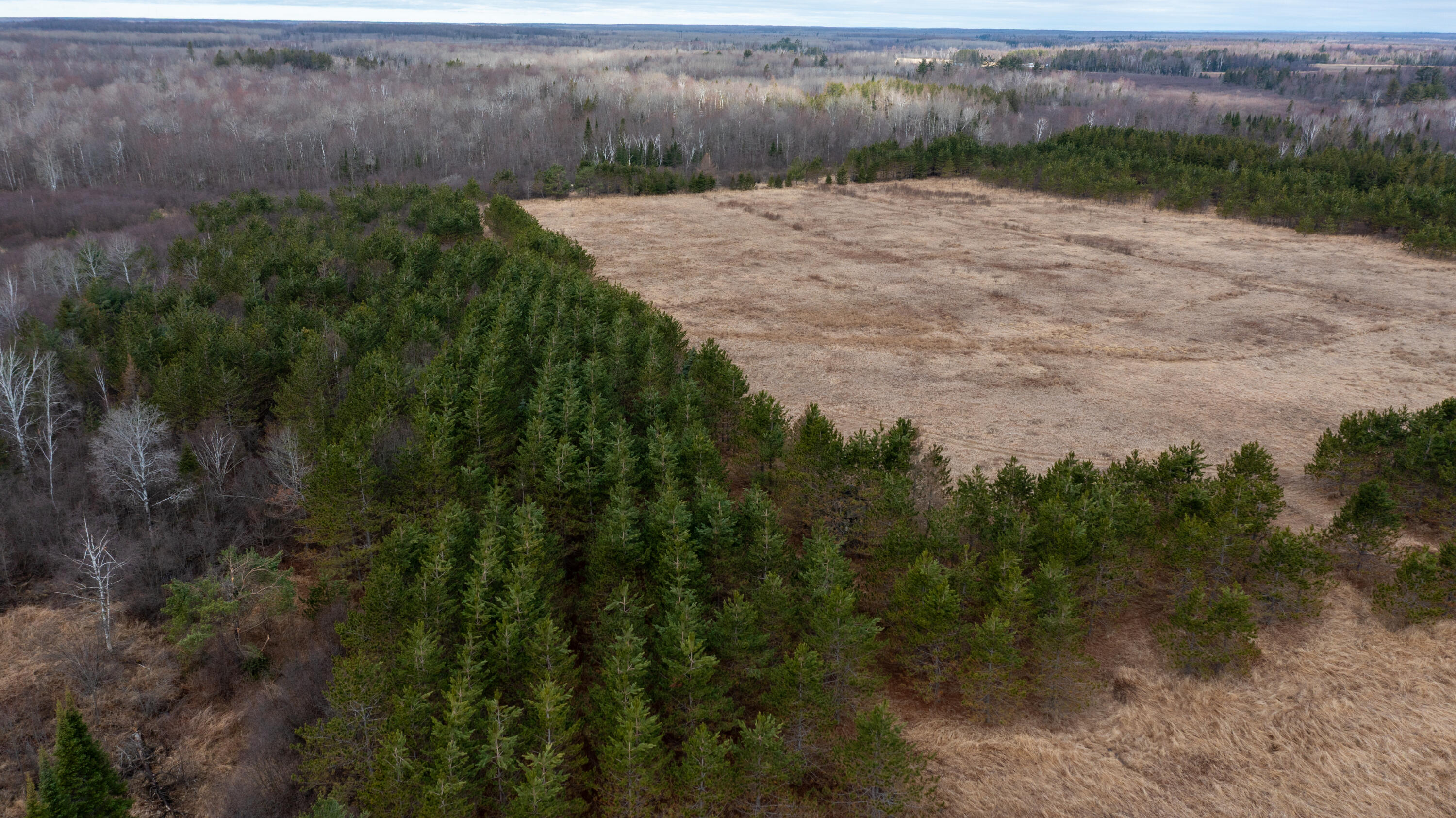 W12103 Highland Road Antigo, WI 54409 - Photo 83 of 89 DJI_0652