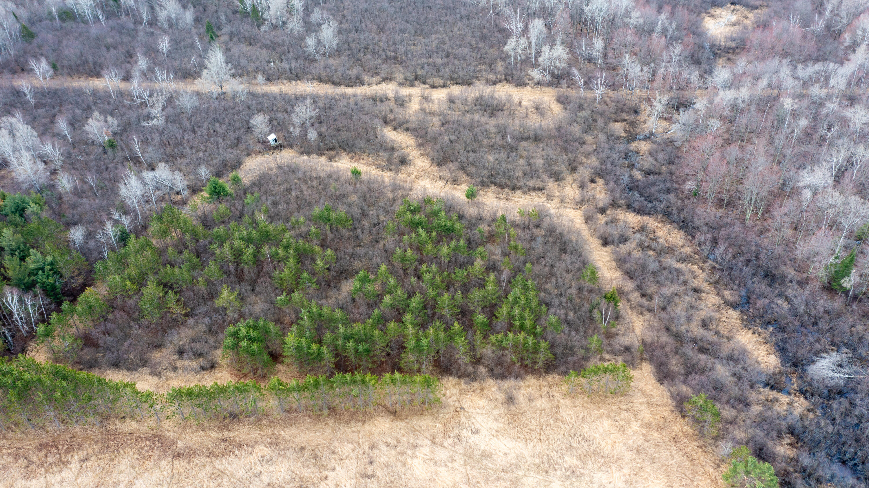 W12103 Highland Road Antigo, WI 54409 - Photo 87 of 89 DJI_0637