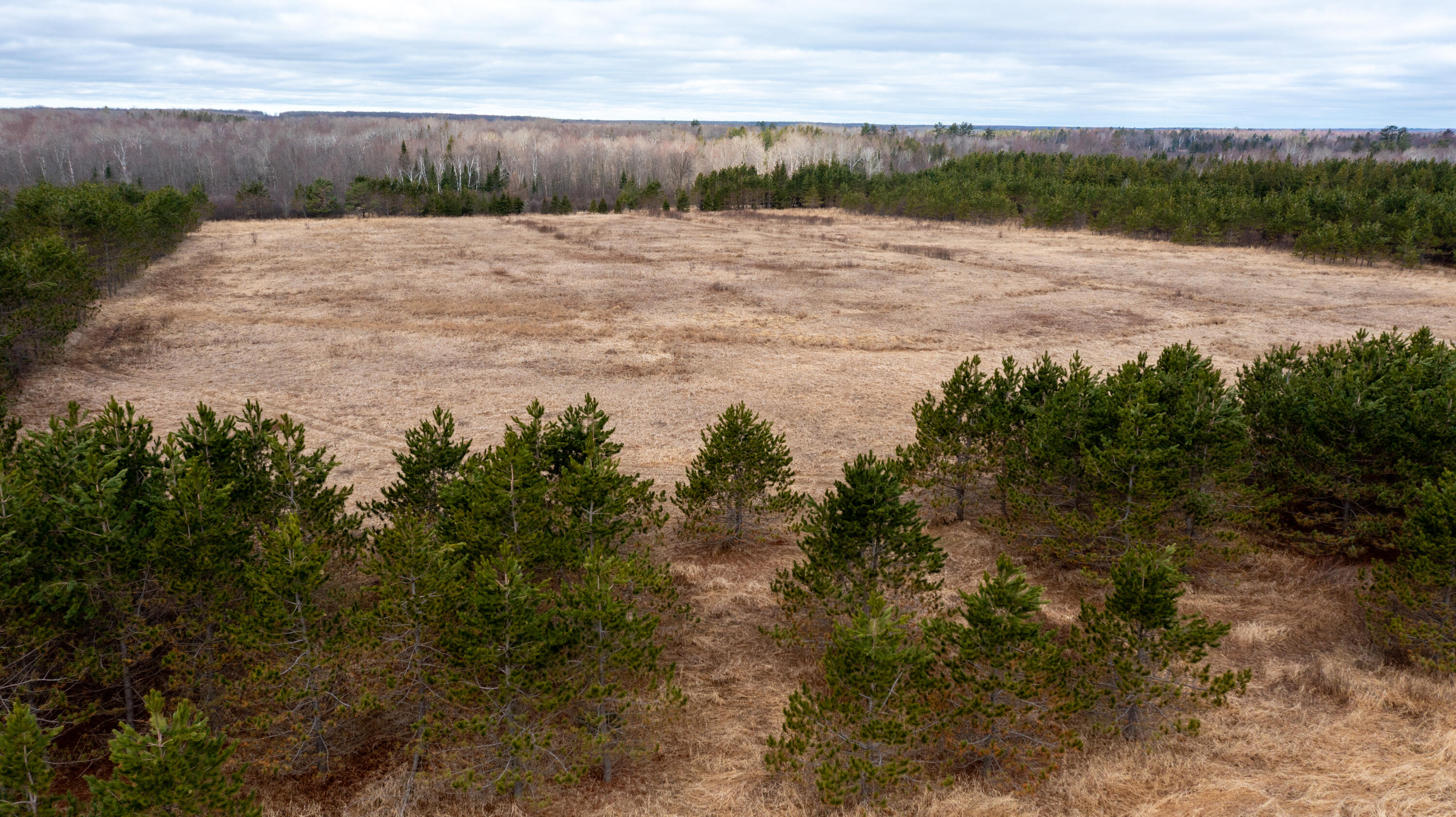W12103 Highland Road Antigo, WI 54409 - Photo 89 of 89 DJI_0654