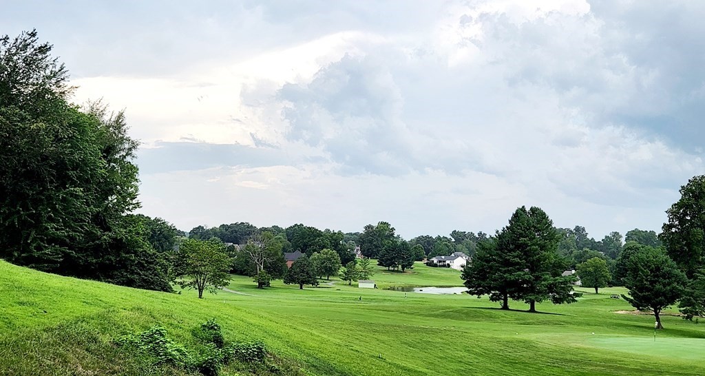 0 Plantation View Cookeville, TN 38506 - Photo 14 of 17 a backyard of a house with lots of green space and garden
