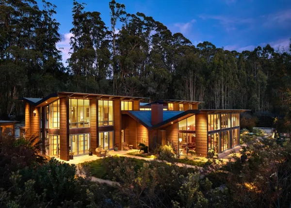 a view of a big yard with plants and large tree