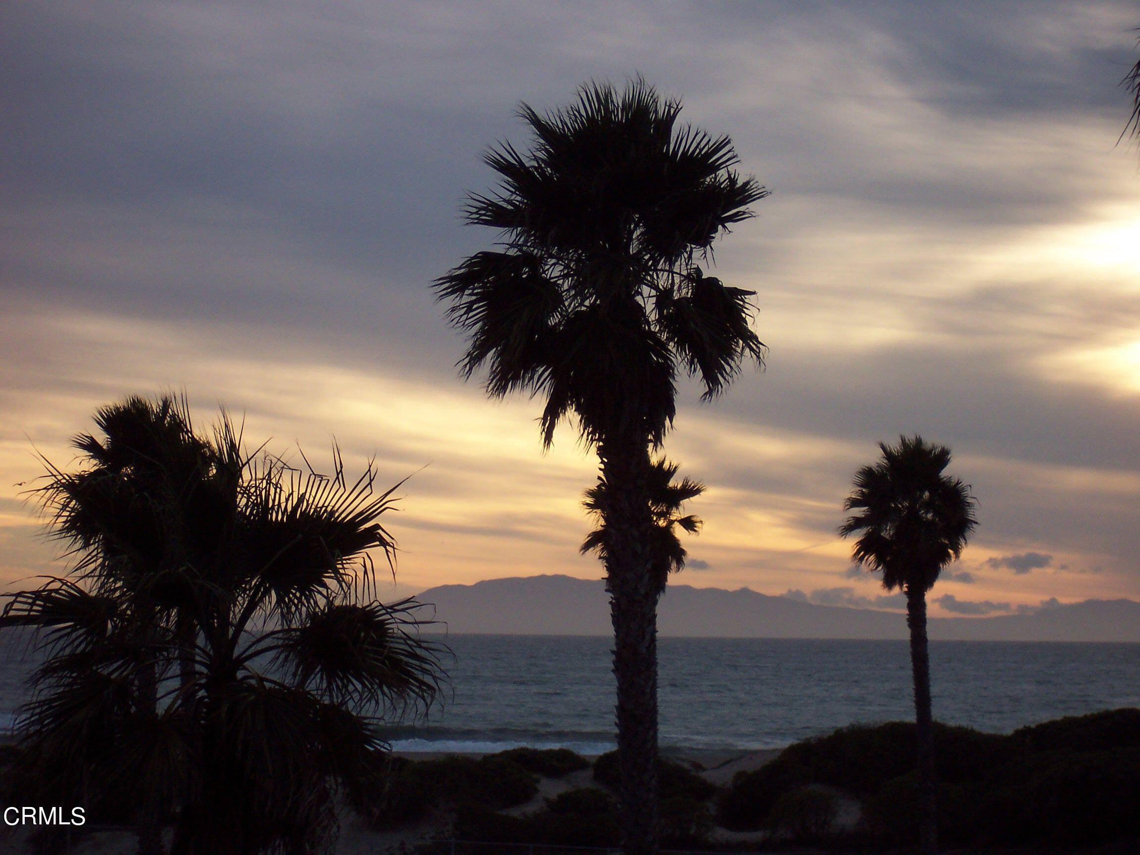 1971 Majorca Drive Oxnard, CA 93035 - Photo 44 of 44 a view of a yard with palm tree