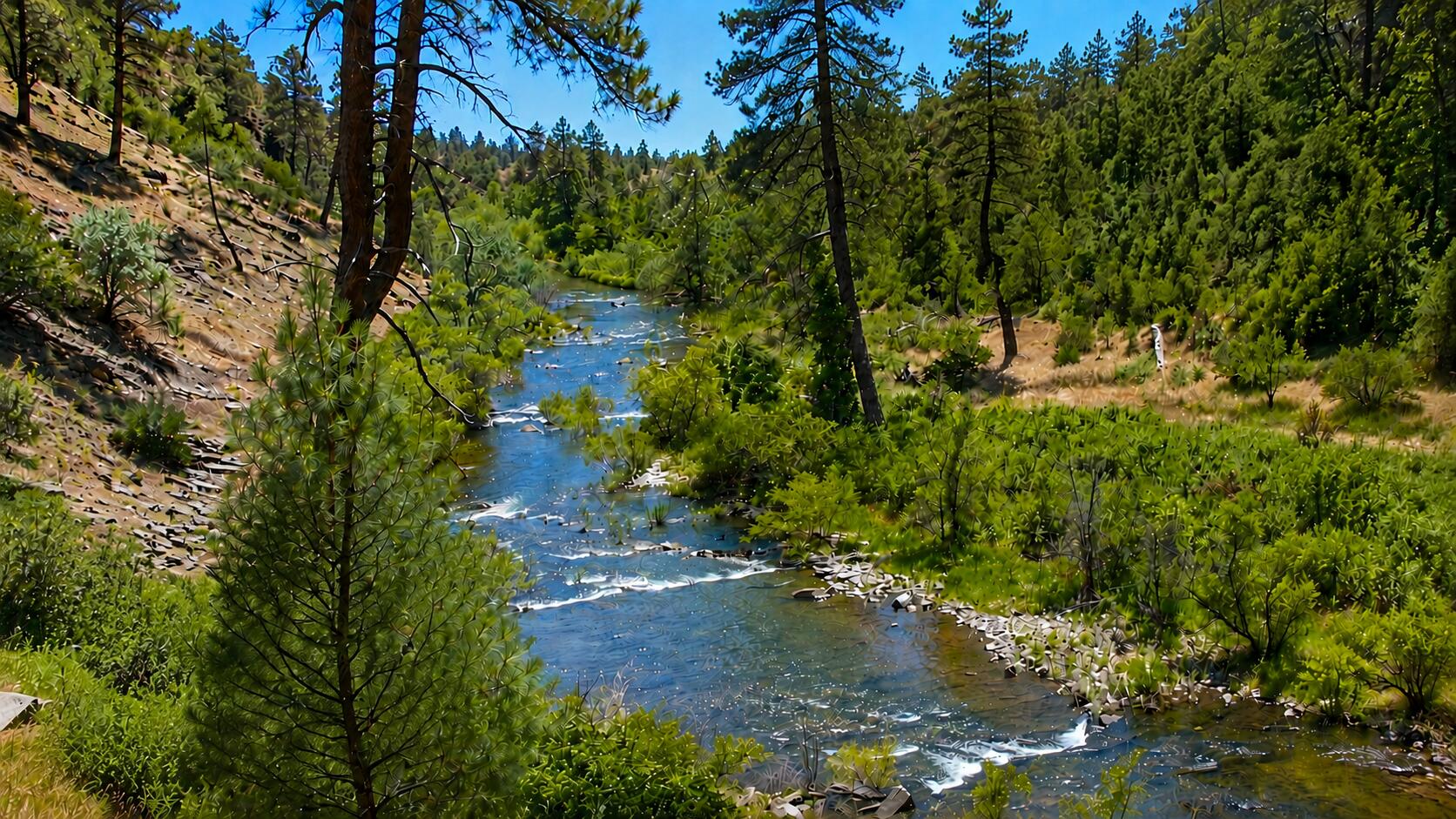 Lot 229 Yolla Bolly Road Igo, CA 96047 - Photo 1 of 66 Property & view