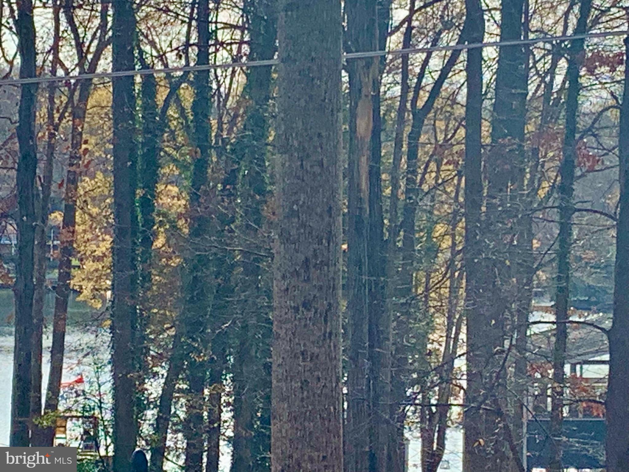 151 Harrison Circle Locust Grove, VA 22508 - Photo 10 of 91 Views! Views! Views!