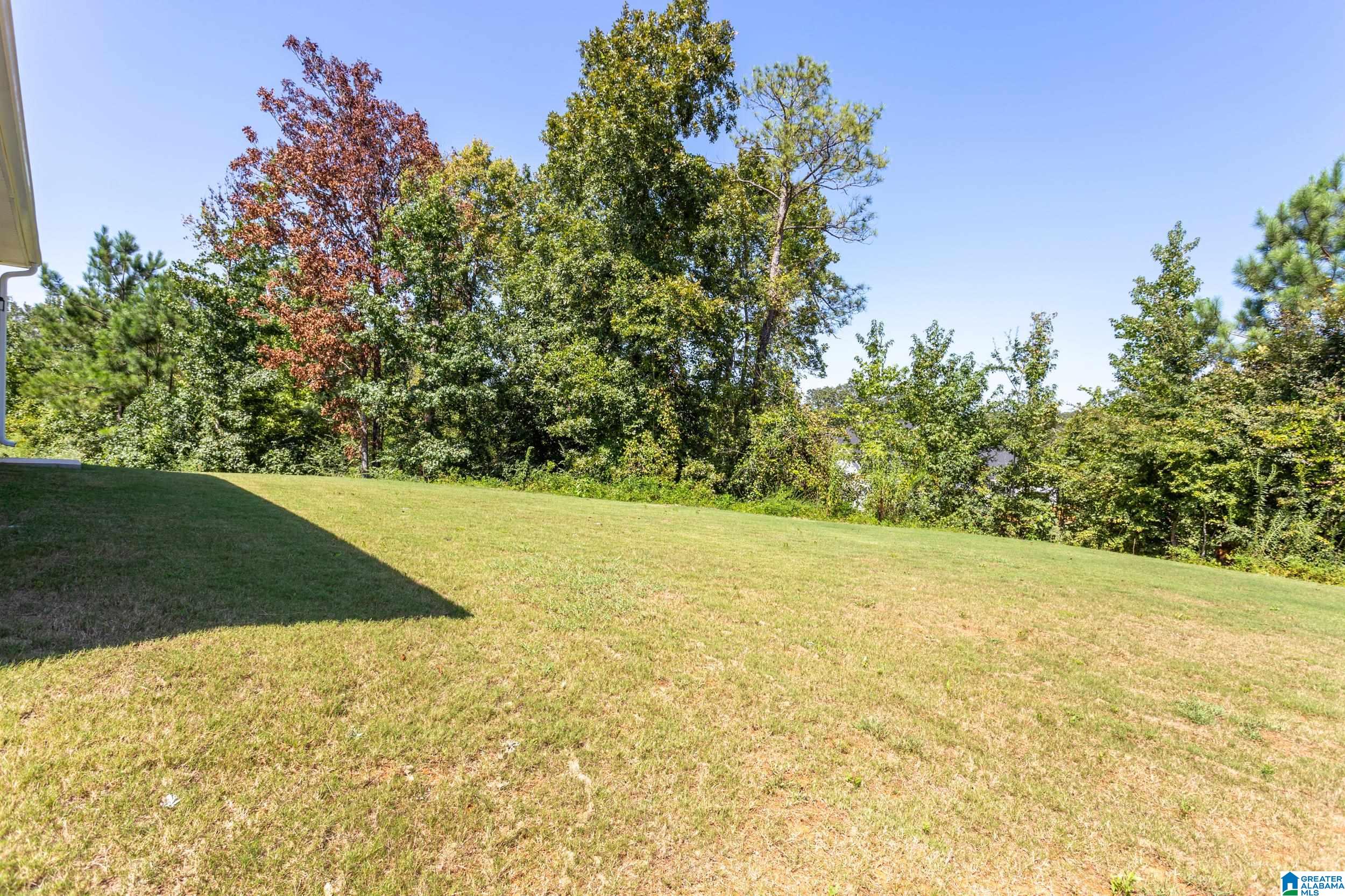 98 Valley Circle Lincoln, AL 35096 - Photo 27 of 31