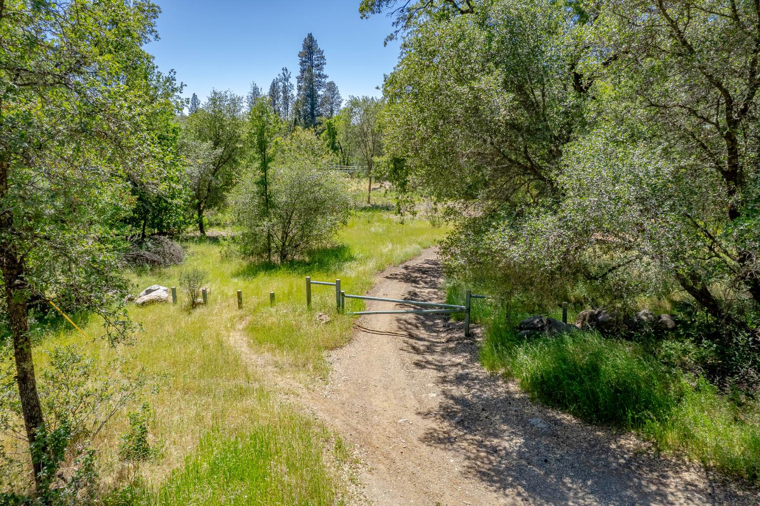 0 West Eric W. Rood Memorial Expressway Penn Valley, CA 95946 - Photo 4 of 69