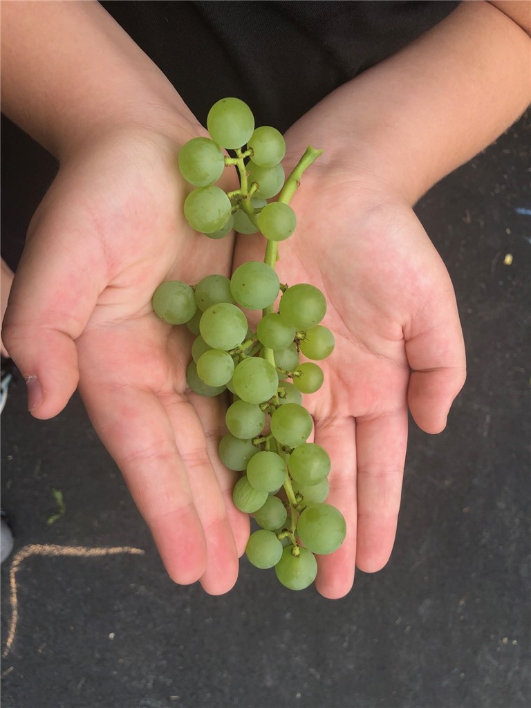 285 School Street Lincoln, RI 02865 - Photo 42 of 44