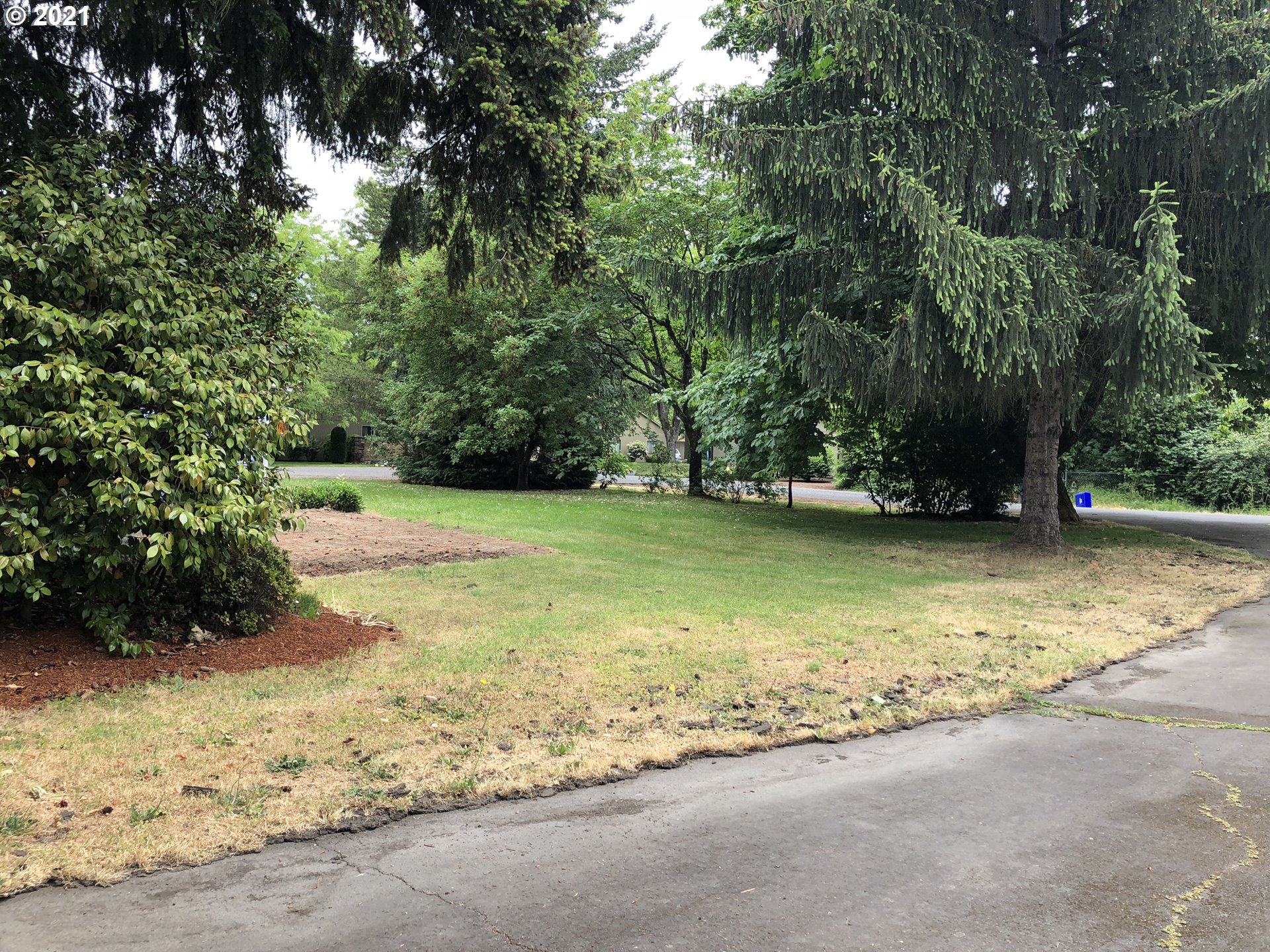 2293 Norkenzie Road Eugene, OR 97401 - Photo 7 of 32 a view of a yard with a tree