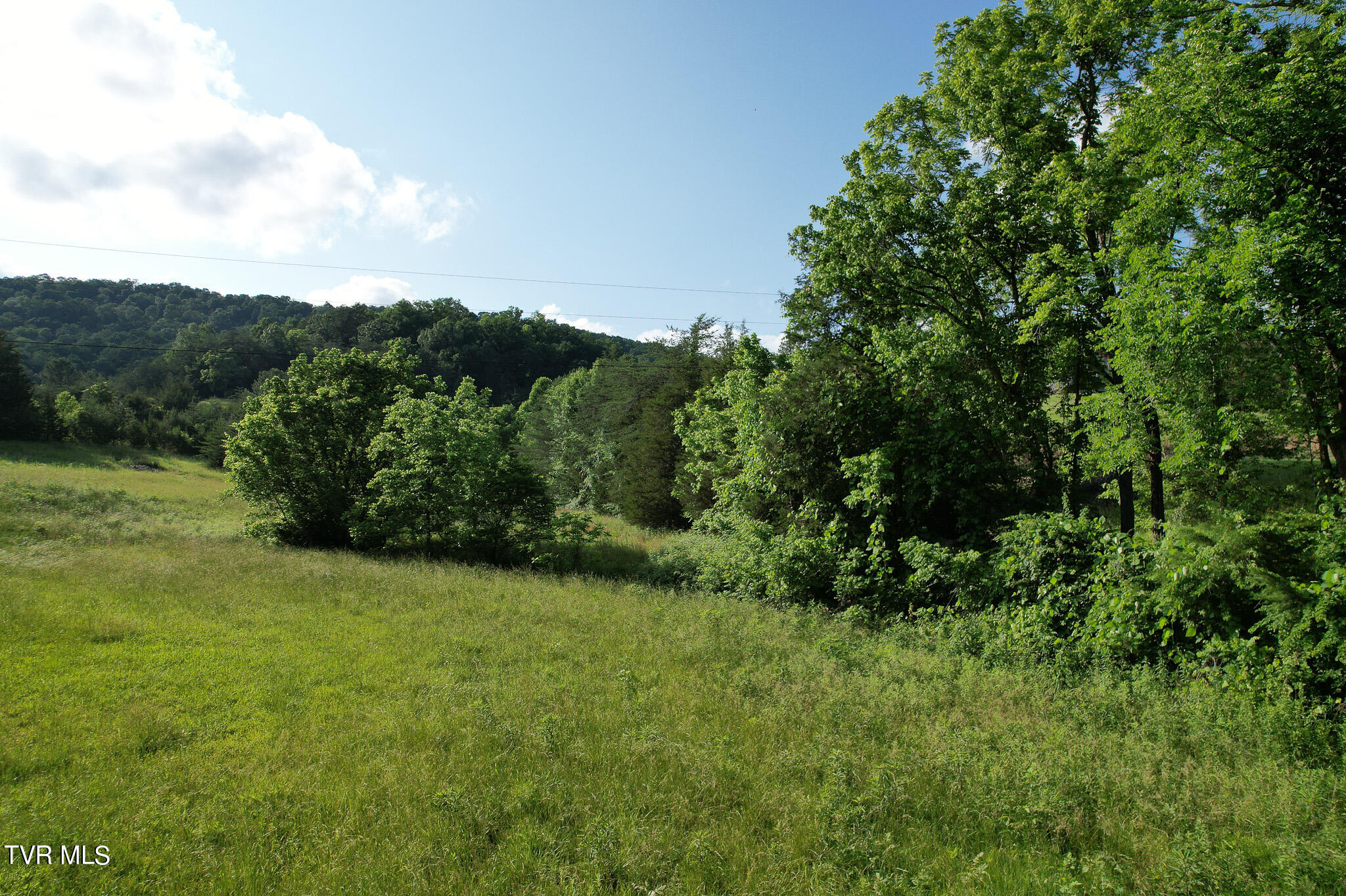 1025 Pilot Mountain Road Bulls Gap, TN 37711 - Photo 13 of 68 DJI_0015