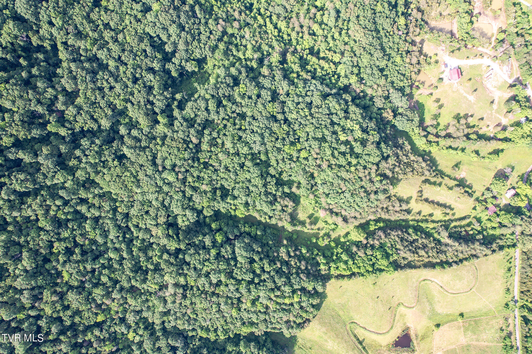 1025 Pilot Mountain Road Bulls Gap, TN 37711 - Photo 15 of 68 DJI_0922