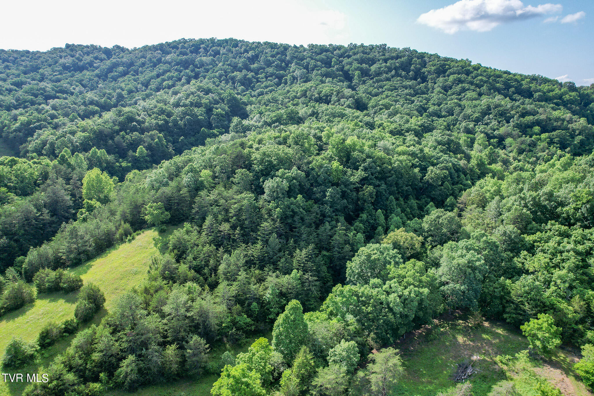 1025 Pilot Mountain Road Bulls Gap, TN 37711 - Photo 18 of 68 DJI_0927