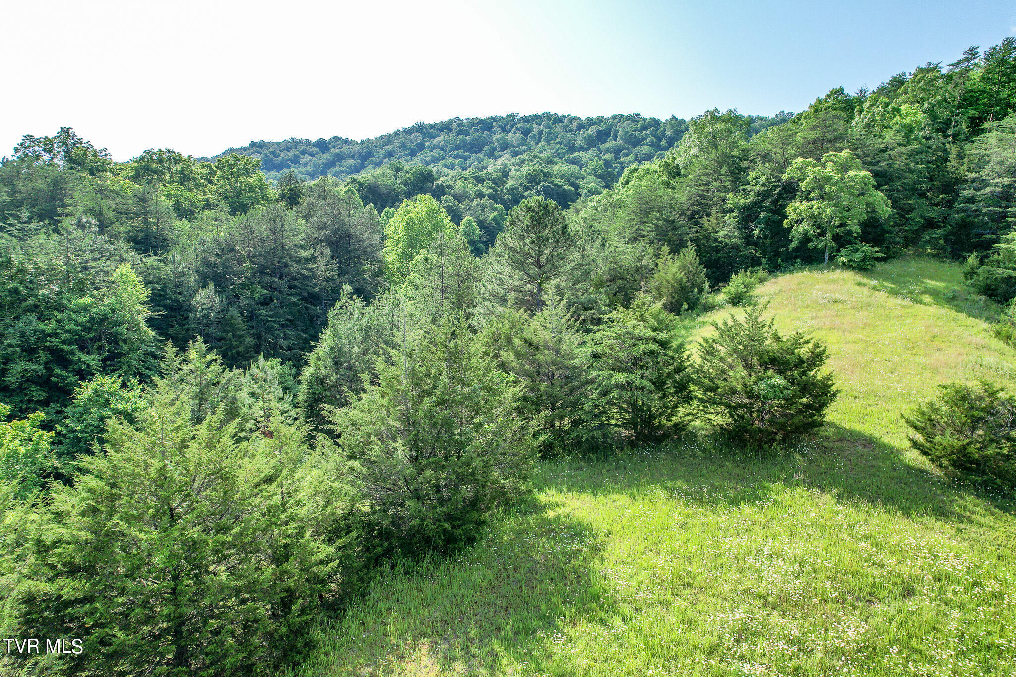 1025 Pilot Mountain Road Bulls Gap, TN 37711 - Photo 20 of 68 DJI_0932