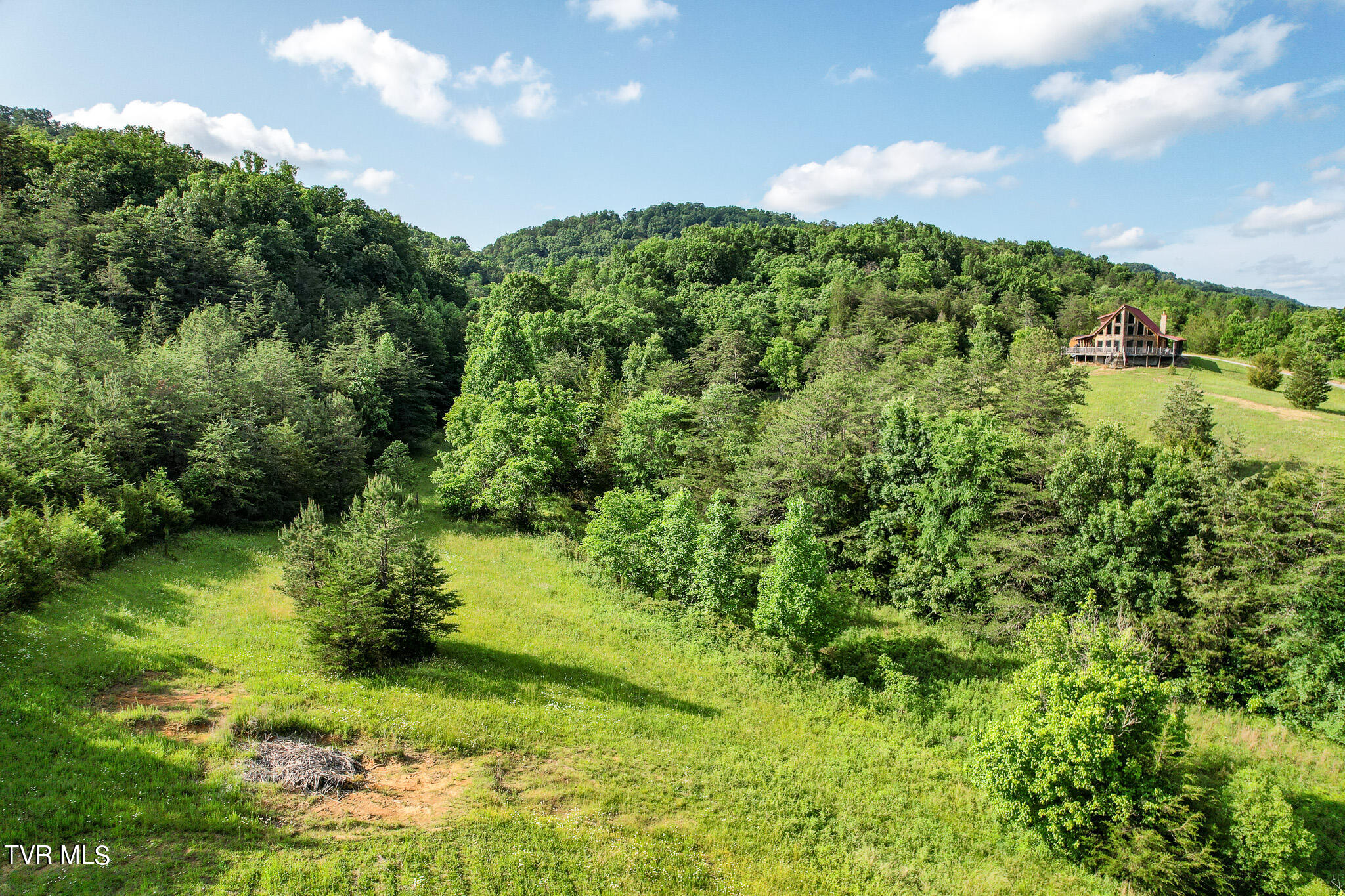 1025 Pilot Mountain Road Bulls Gap, TN 37711 - Photo 21 of 68 DJI_0930