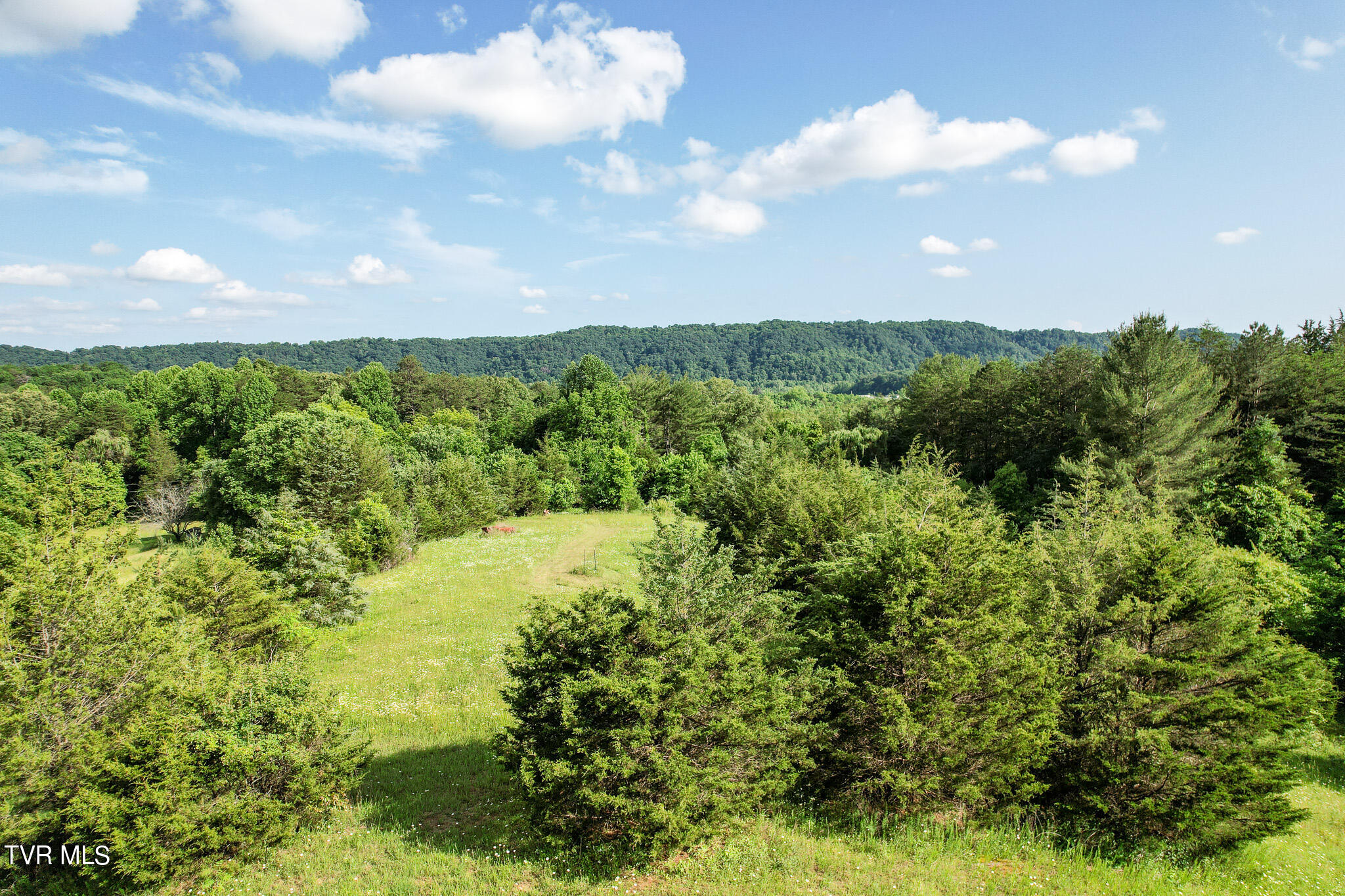 1025 Pilot Mountain Road Bulls Gap, TN 37711 - Photo 22 of 68 DJI_0933