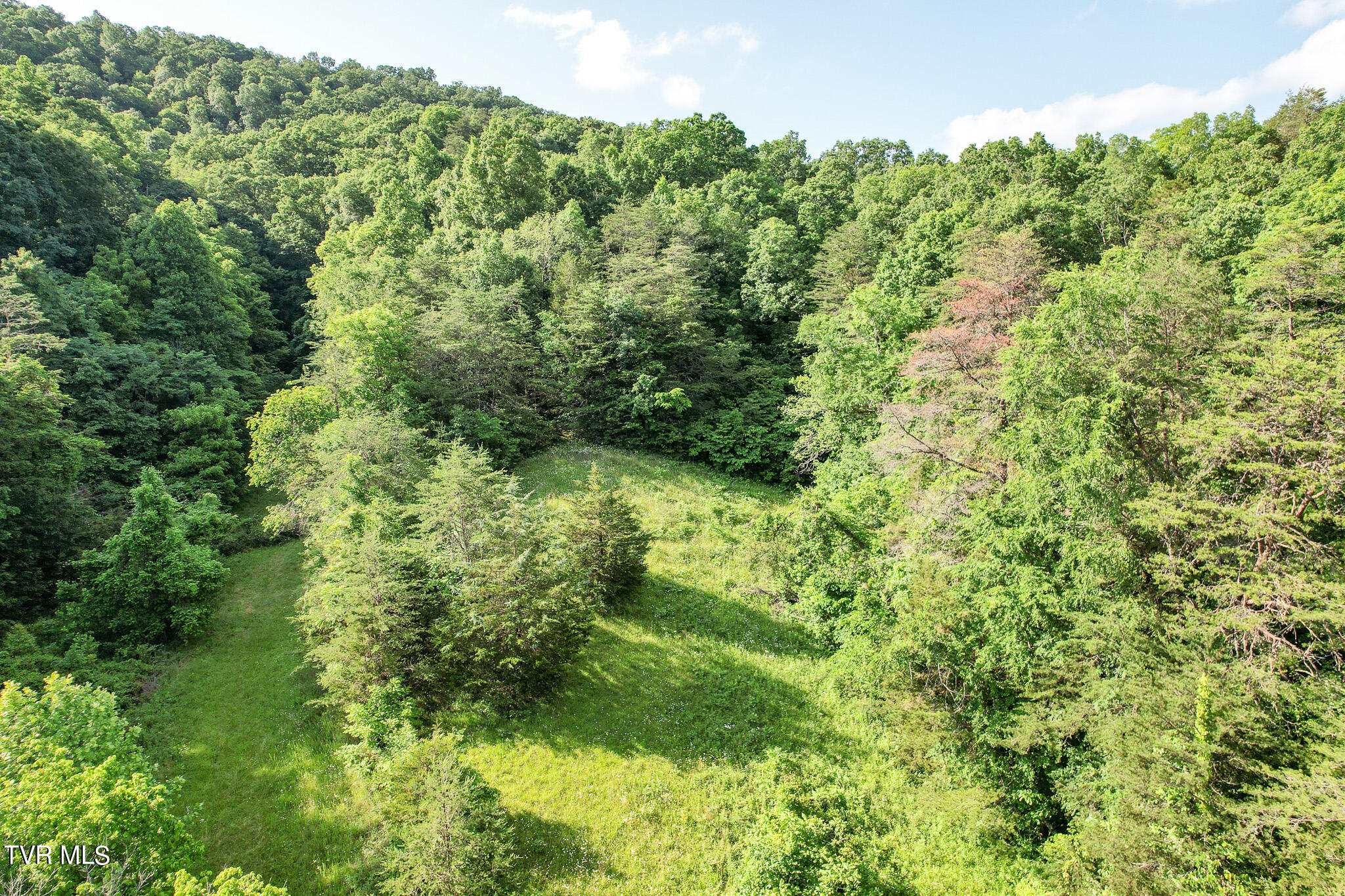 1025 Pilot Mountain Road Bulls Gap, TN 37711 - Photo 23 of 68 DJI_0937