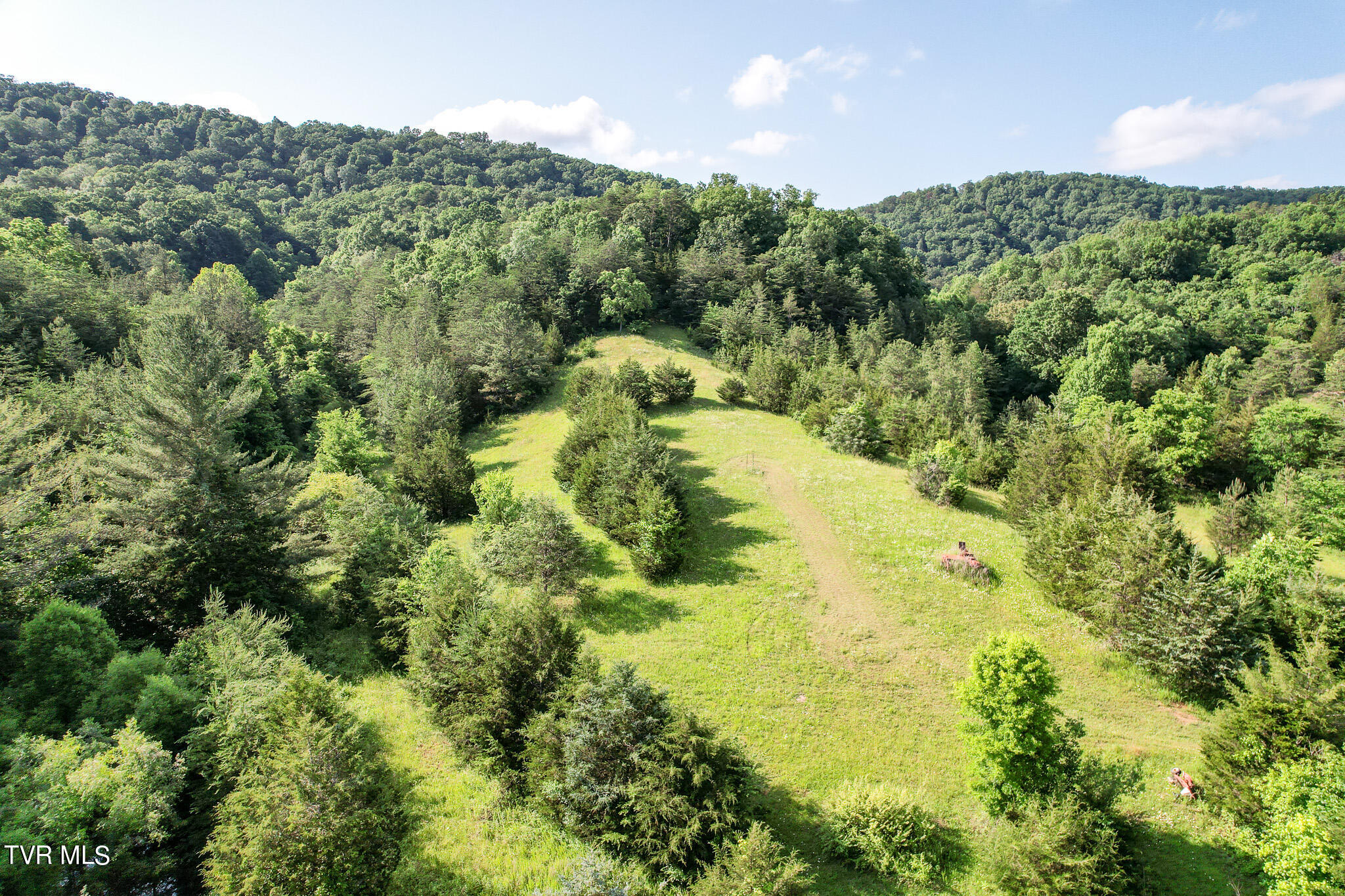 1025 Pilot Mountain Road Bulls Gap, TN 37711 - Photo 24 of 68 DJI_0938