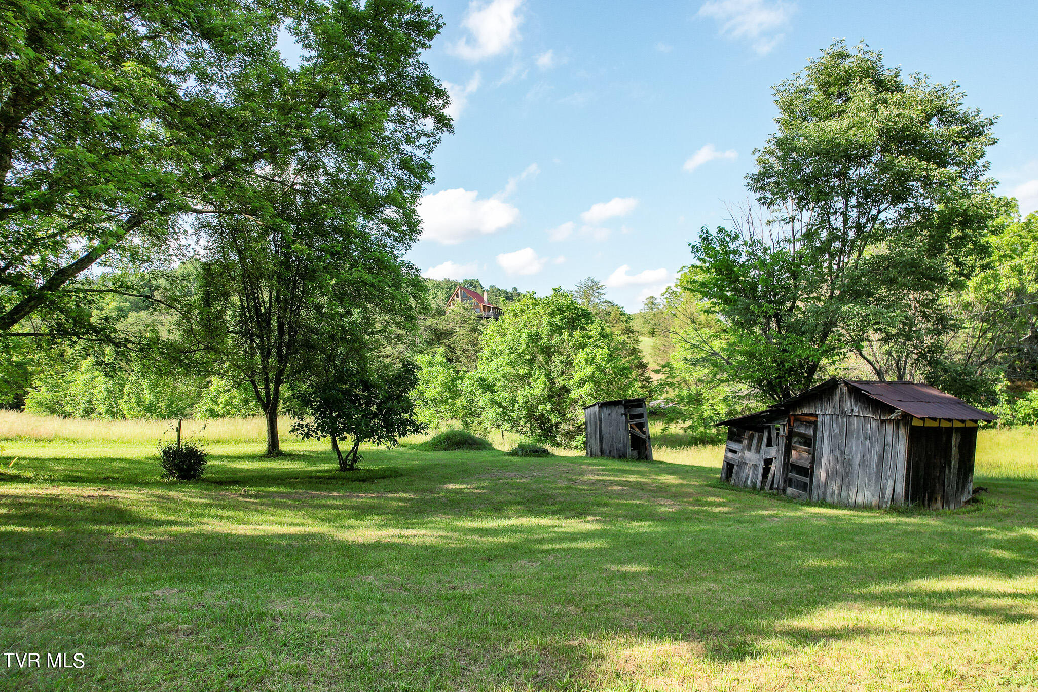 1025 Pilot Mountain Road Bulls Gap, TN 37711 - Photo 53 of 68 DJI_0973-Edit